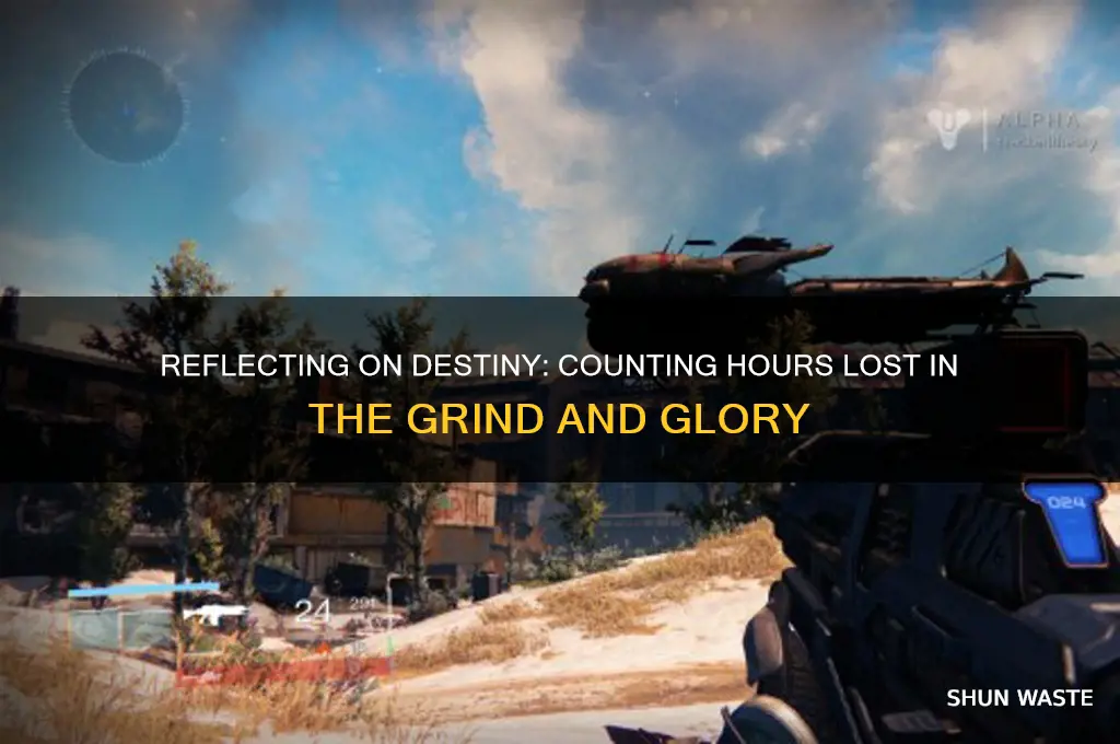 how long have i wasted on destiny
