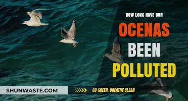 The Ocean's Pollution Crisis: A Historical Perspective