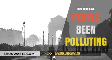 The History of Pollution: A Human Legacy
