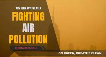 The Long Battle Against Air Pollution