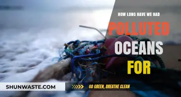 The Oceans' Pollution Crisis: A Historical Perspective