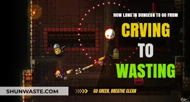 Dungeon Detox: Transitioning from Craving to Wasting Timeline Explained