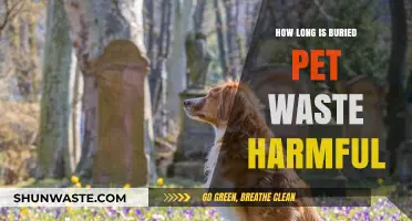 Buried Pet Waste: How Long Does It Pose Environmental Risks?
