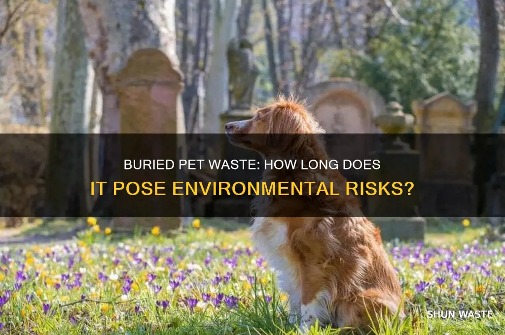 how long is buried pet waste harmful