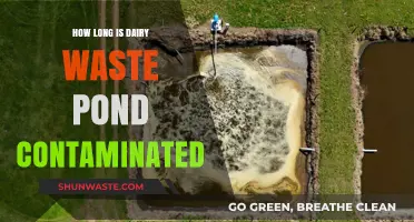 Dairy Waste Pond Contamination: Duration and Environmental Impact Explained