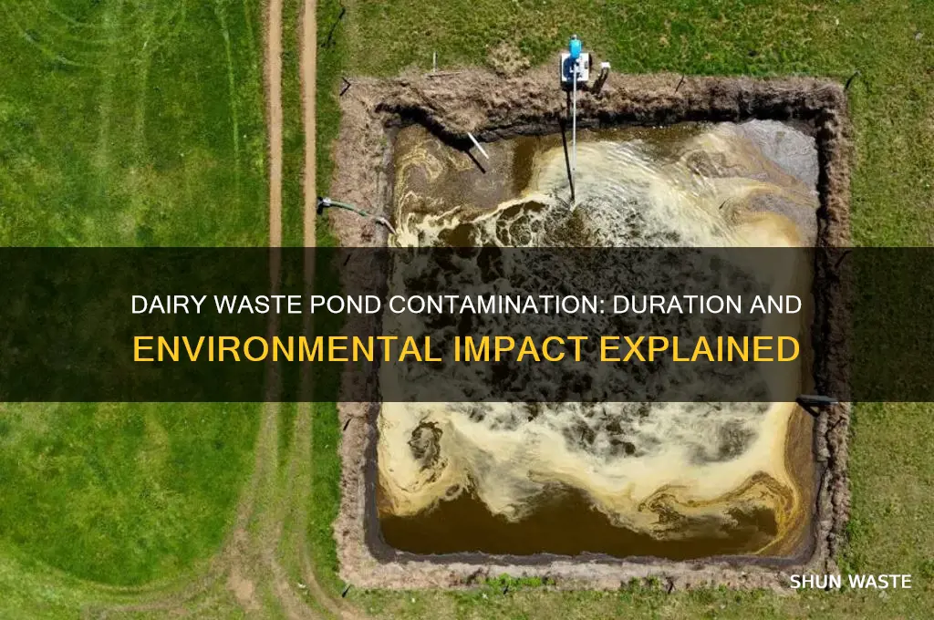 how long is dairy waste pond contaminated
