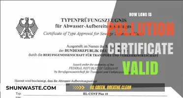 Validity of Pollution Certificates: How Long Do They Last?