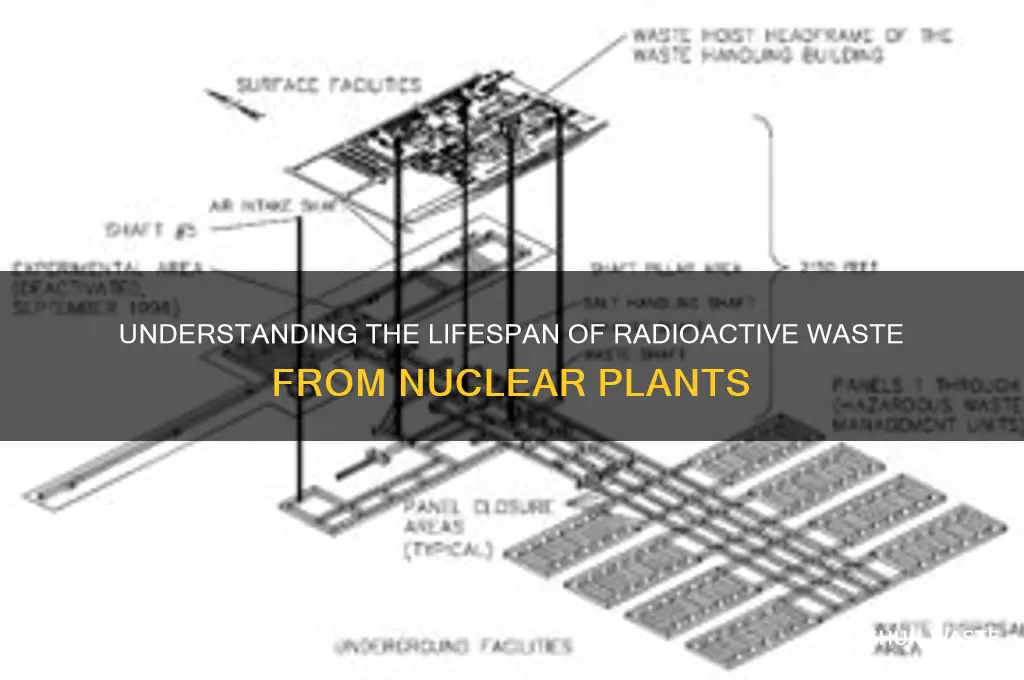 how long is radioactive waste from nuclear plants radioactive
