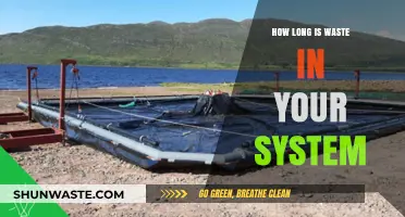 How Long Does Waste Stay in Your System: A Comprehensive Guide