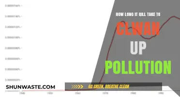Cleaning Up Pollution: A Long and Winding Road