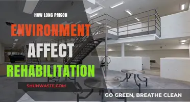 Prison Environment's Impact: Does It Hinder or Help Rehabilitation?