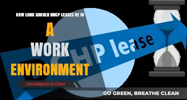 Optimizing DHCP Lease Durations for Efficient Work Environment Networking