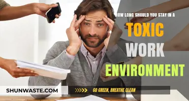 Navigating Toxic Workplaces: When to Stay and When to Leave