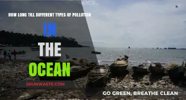 Ocean Pollution: How Long Until It's Too Late?