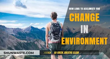 Adapting to New Surroundings: Mastering the Art of Environmental Acclimation
