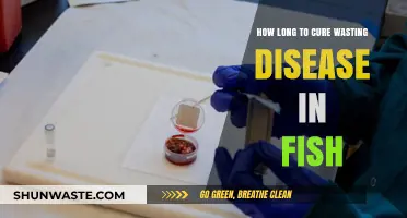 Effective Treatment Duration for Fish Wasting Disease: A Comprehensive Guide