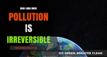 The Ticking Clock of Pollution: When Does It Become Irreversible?