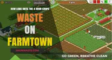 Farmtown Crop Timer: Avoiding 4-Hour Waste on Your Virtual Farm