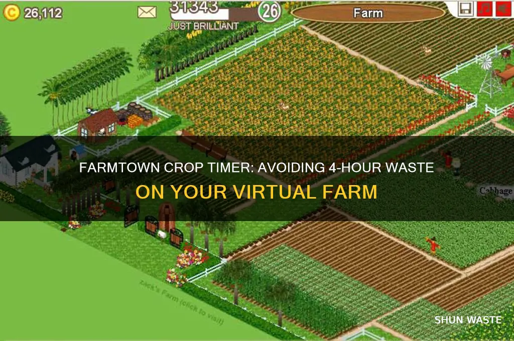 how long until the 4 hour crops waste on farmtown