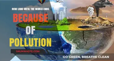 The World's End: Pollution's Timeline