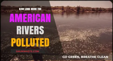 American Rivers: Polluted for Decades, Now Recovering