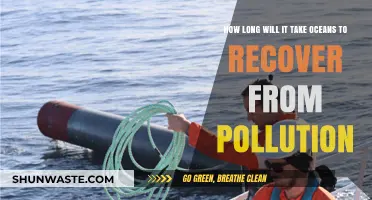 The Ocean's Long Road to Recovery from Pollution