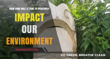 Sustainable Steps: How Soon Can We Heal Our Environment?