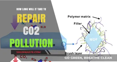 Repairing CO2 Pollution: A Long-Term Commitment