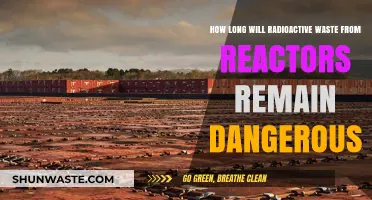 Radioactive Reactor Waste: How Long Does the Danger Last?