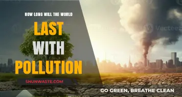 The World's End: Pollution's Timeline