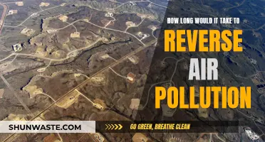 Reversing Air Pollution: A Timeline for Change