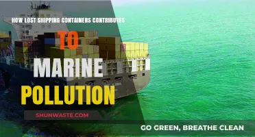 The Devastating Impact of Lost Shipping Containers on Marine Life