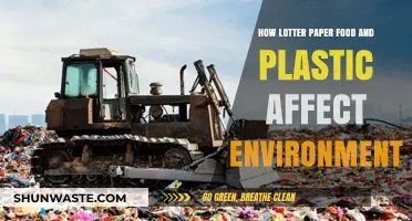 The Environmental Impact of Lottery Tickets, Food, and Plastic Waste