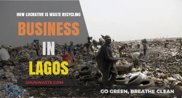 Profitable Waste Recycling Business Opportunities in Lagos: A Comprehensive Guide
