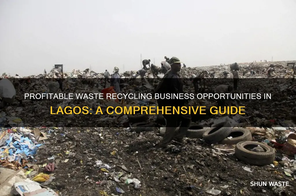 how lucrative is waste recycling business in lagos