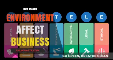 Macro Environment's Impact: Shaping Business Strategies and Outcomes