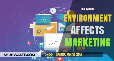Macro Environment's Impact: Shaping Marketing Strategies for Success