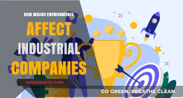 Macro Environments: Shaping Industrial Companies' Strategies and Outcomes