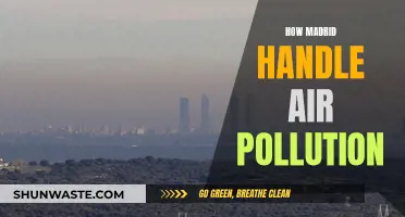 Madrid's Air Quality Strategies: A Comprehensive Overview