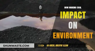 Coal's Environmental Toll: Extraction, Pollution, and Climate Consequences Explained