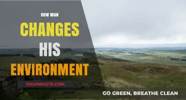 Human Impact: Shaping and Transforming Our Environment Over Time