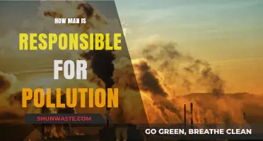 Human Impact: Pollution and Its Culprits