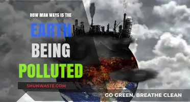 The Earth Suffers Pollution in Many Ways