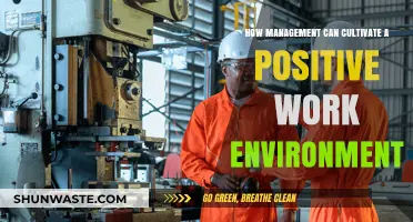 Cultivating Positivity: Strategies for Management to Foster a Healthy Workplace