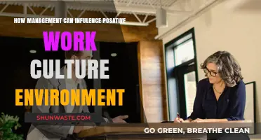 Leadership Strategies to Foster a Positive Workplace Culture