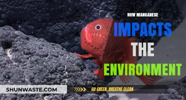 Manganese's Environmental Impact: Effects on Ecosystems and Human Health