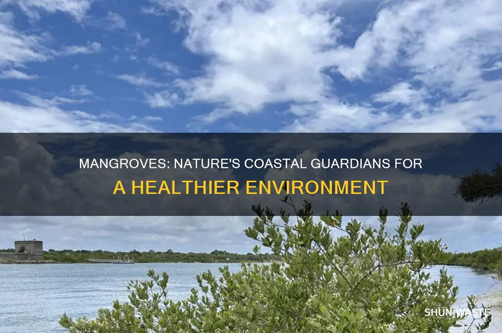 how mangroves help the environment