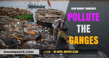 Tanneries Polluting the Ganges: A Troubling Reality