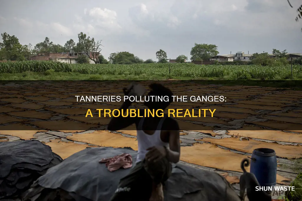 how manny tanneries pollute the ganges