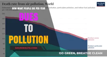Fatal Pollution: Yearly Death Toll